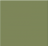 Керамогранит RW 06 матовый неполир. зеленый мох 300х300мм